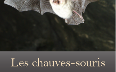 Brochure « Les chauves-souris valaisannes »