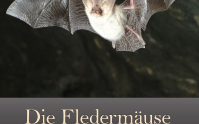 Broschüre „die Fledermäuse im Wallis“