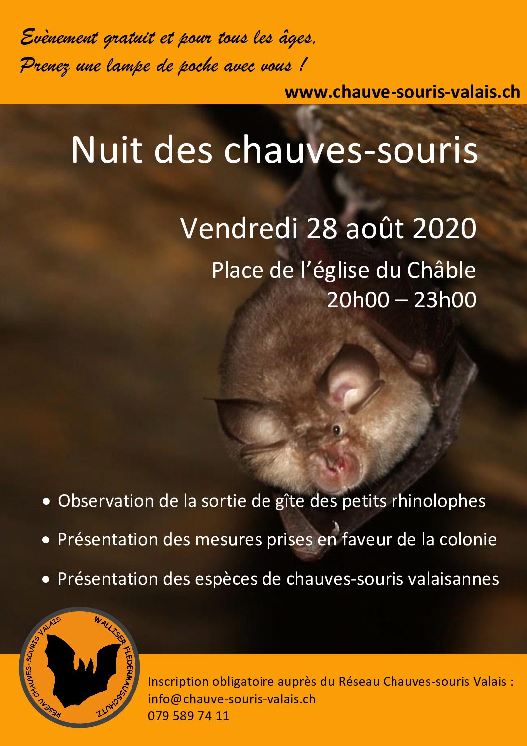 Nuit des Chauves-souris 2020