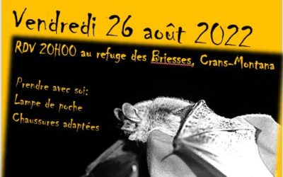 Nuit des Chauves-souris 2022-Evenement public (gratuit et sans inscription)