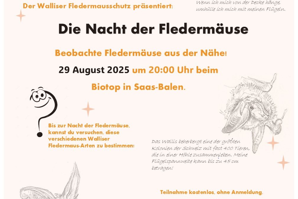 Nacht der Fledermäuse 2025 (kostenlos, ohne Anmeldung)