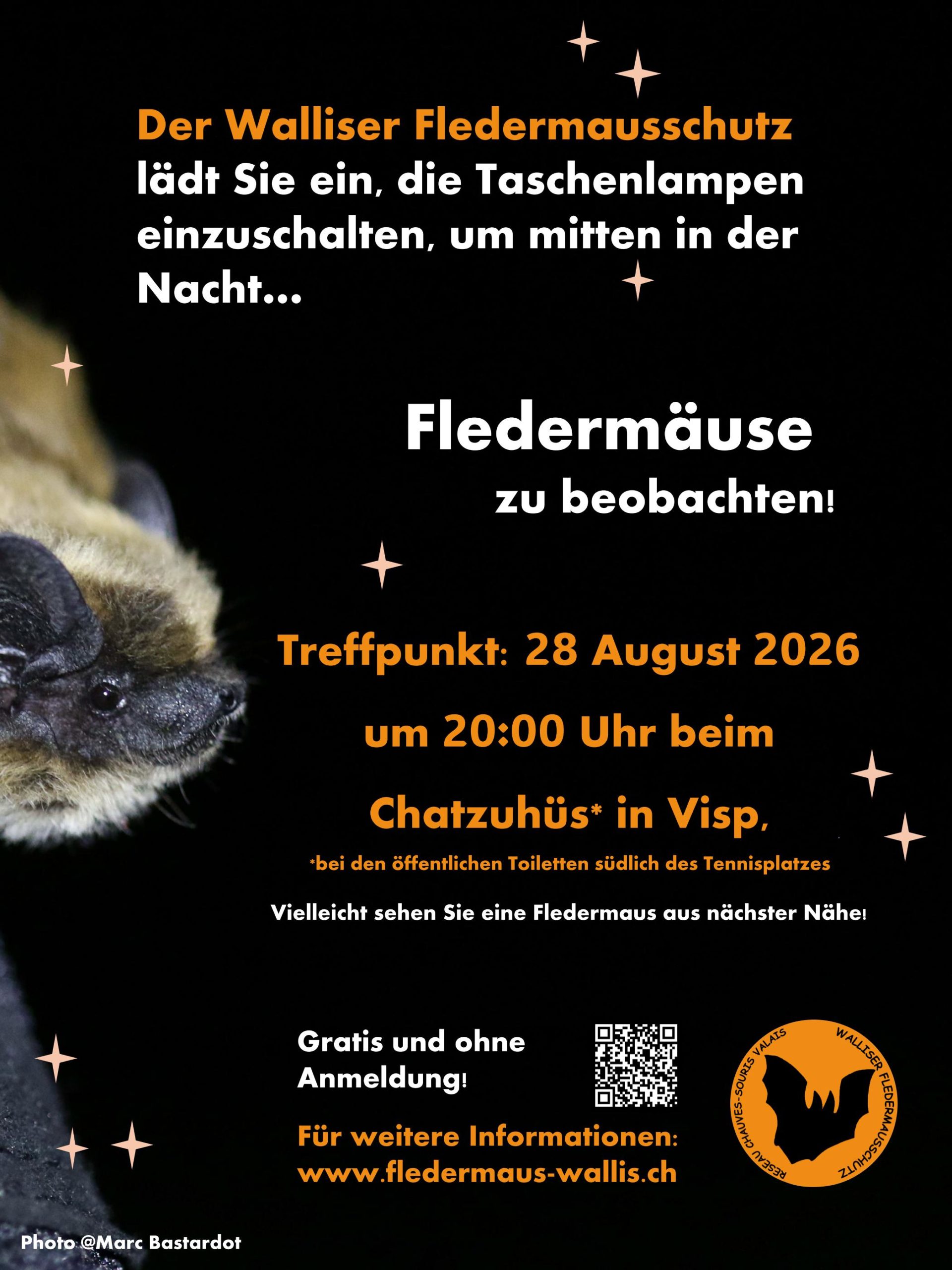 Nacht der Fledermäuse Visp 2026